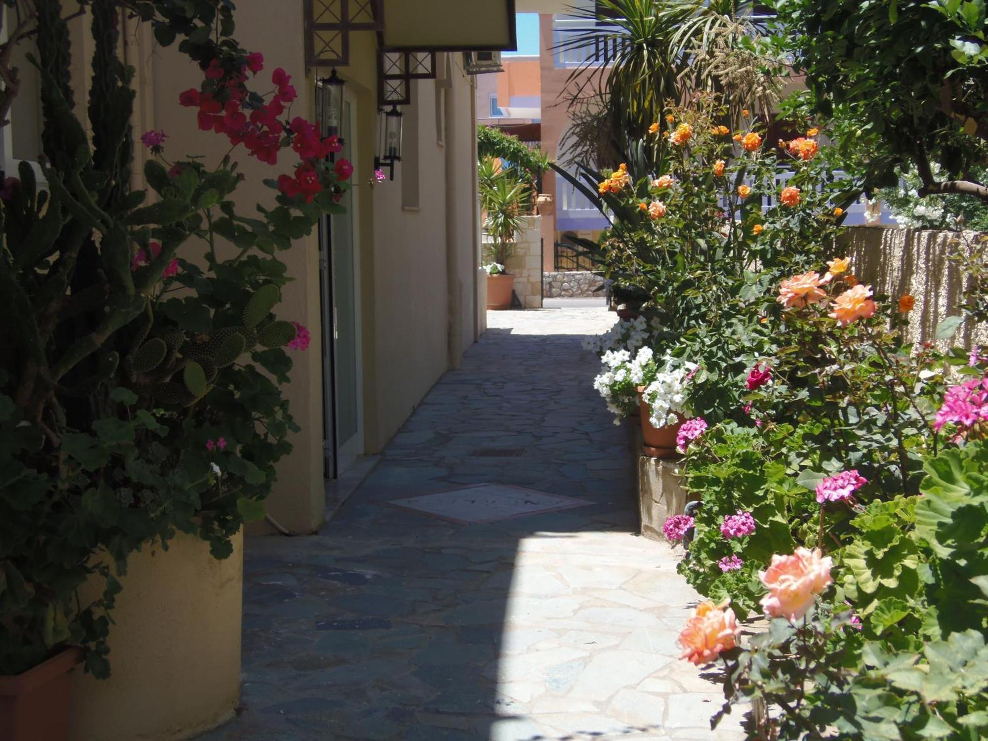 Angelica Studios And Apartments Agia Marina Exteriér fotografie
